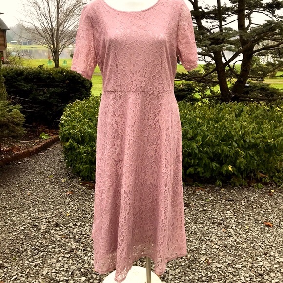 Suzanne Betro Dresses & Skirts - Suzanne Betro sweet lace dress 2X